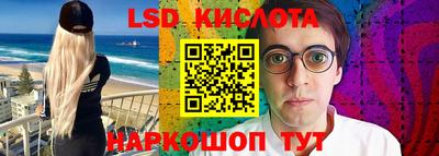 прущие грибы Шахты