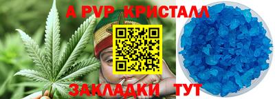прущие грибы Шахты